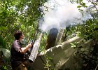 Insecticide fogging by Juergen Schmidl DSCN4633 (c) Maurice Leponce